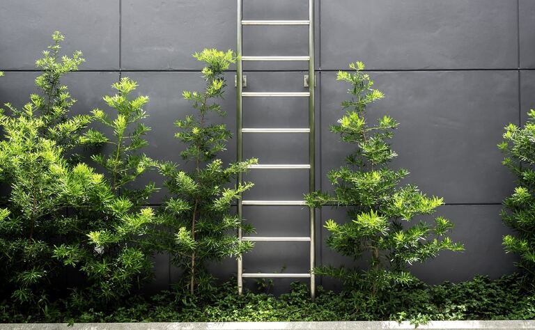 Benefits of Fire Escape Ladder Benefits of Fire Escape Ladder