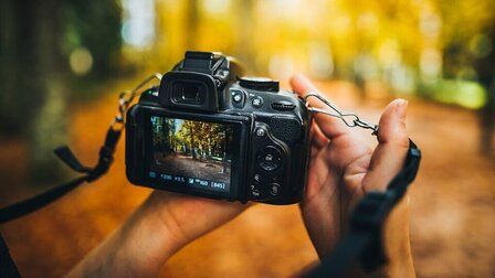 Benefits of a Digital Camera Benefits of a Digital Camera