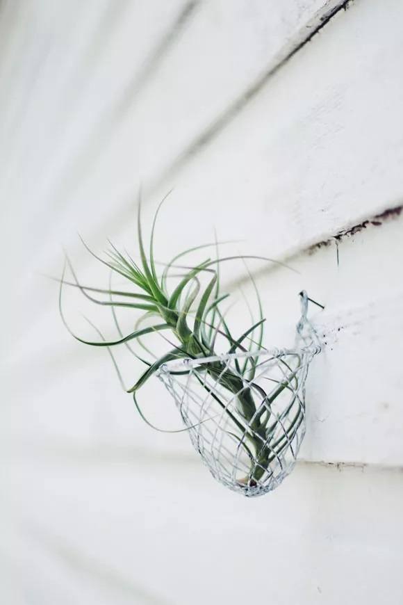 Home Decorating Ideas With Baskets