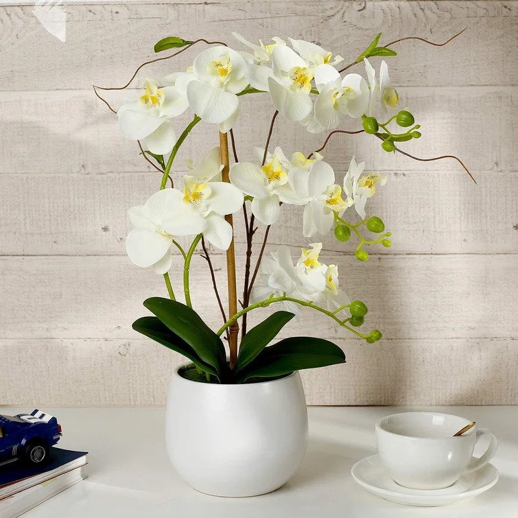 Best Artificial Plants For Home Best Artificial Plants For Home