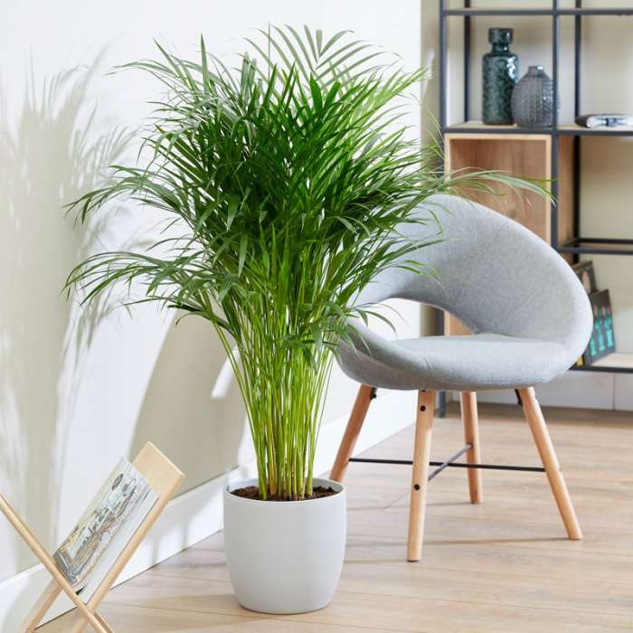 Best Artificial Plants For Home Best Artificial Plants For Home