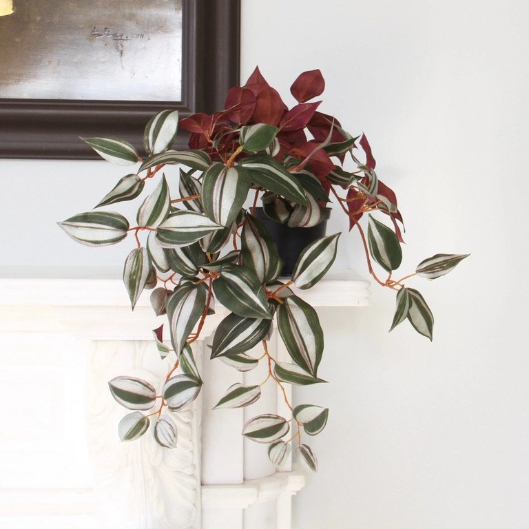 Best Artificial Plants For Home