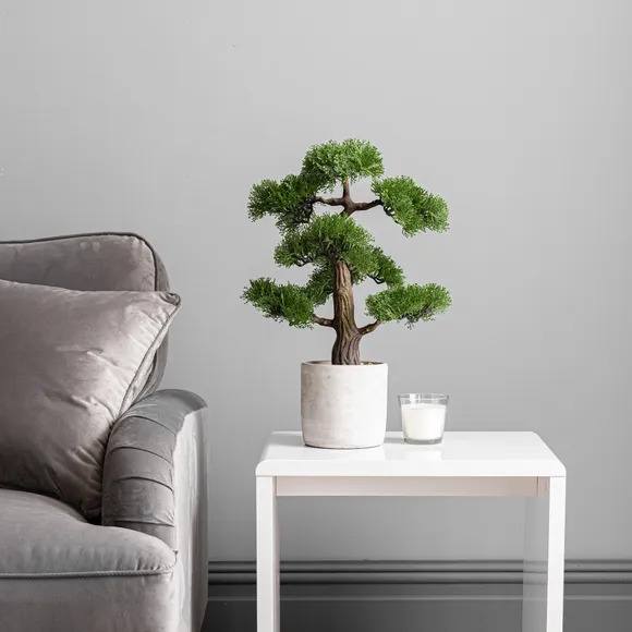 Best Artificial Plants For Home