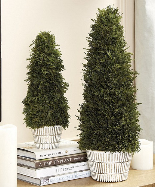 Best Artificial Plants For Home Best Artificial Plants For Home