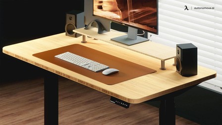 6 Best Desk Pad For Wood Desk of 2026